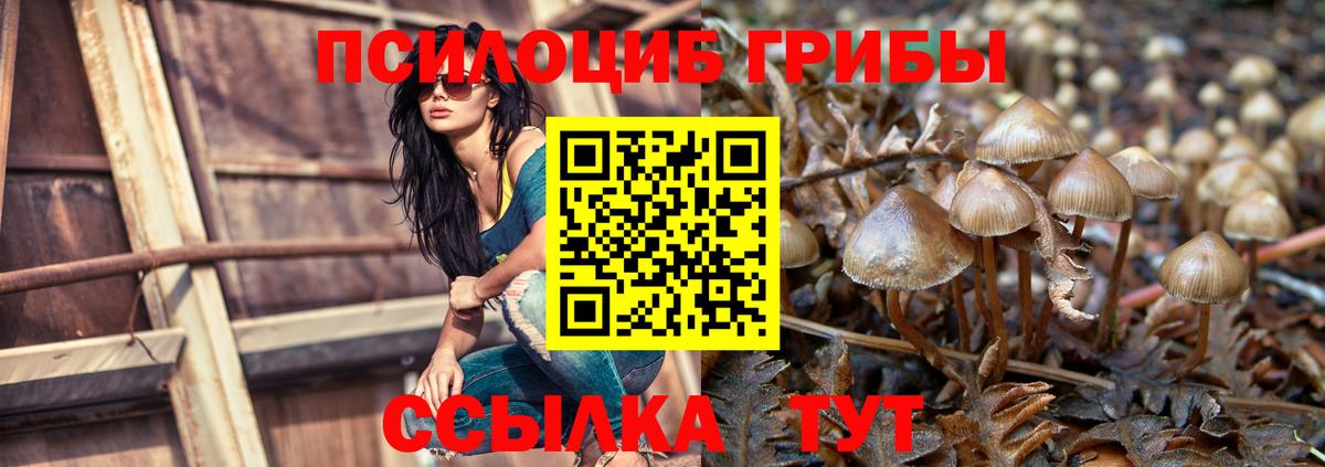 Галлюциногенные грибы MAGIC MUSHROOMS Абакан
