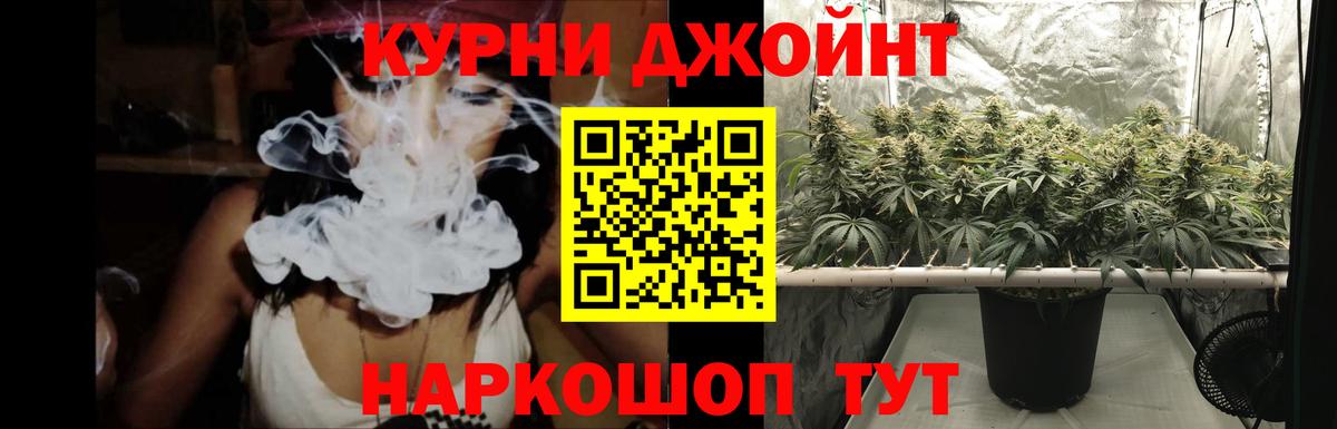 Бошки Шишки гибрид Абакан